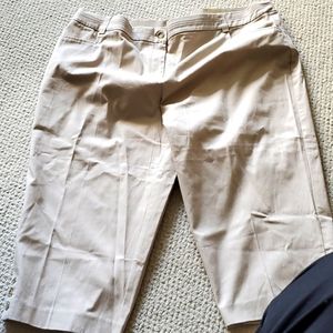 Studio Works Capris. 22W NWT